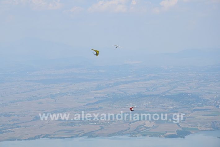 alexandriamou.gr_kastania20188DSC_0256