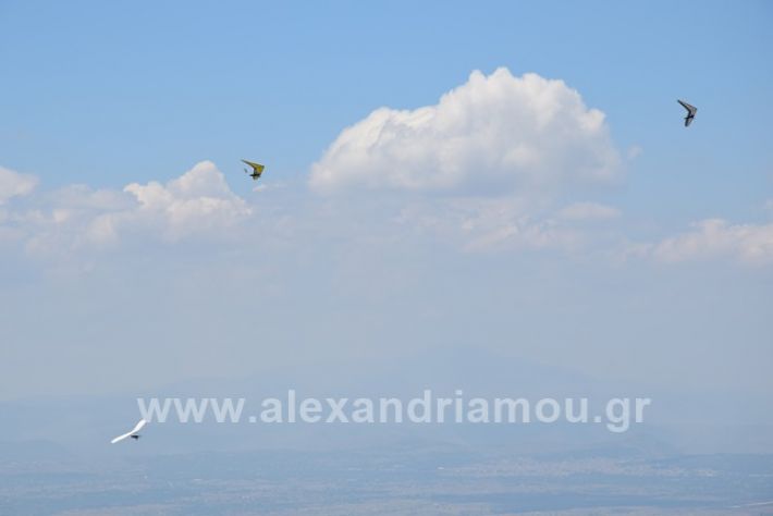 alexandriamou.gr_kastania20188DSC_0262