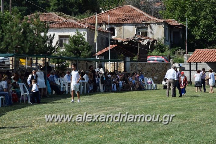 alexandriamou.gr_kastaniaantamoma17008