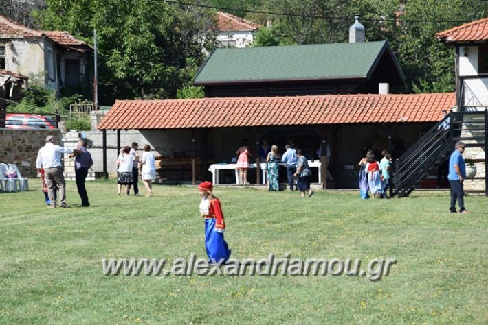 alexandriamou.gr_kastaniaantamoma17009