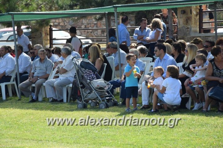 alexandriamou.gr_kastaniaantamoma17029