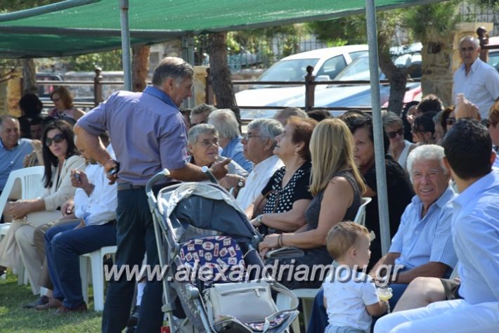 alexandriamou.gr_kastaniaantamoma17059