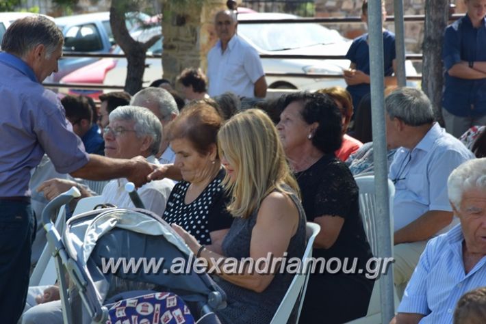 alexandriamou.gr_kastaniaantamoma17060