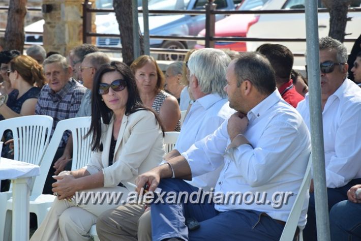 alexandriamou.gr_kastaniaantamoma17061