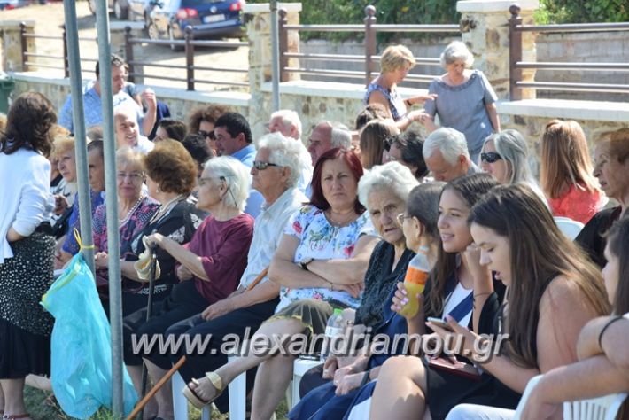 alexandriamou.gr_kastaniaantamoma17075