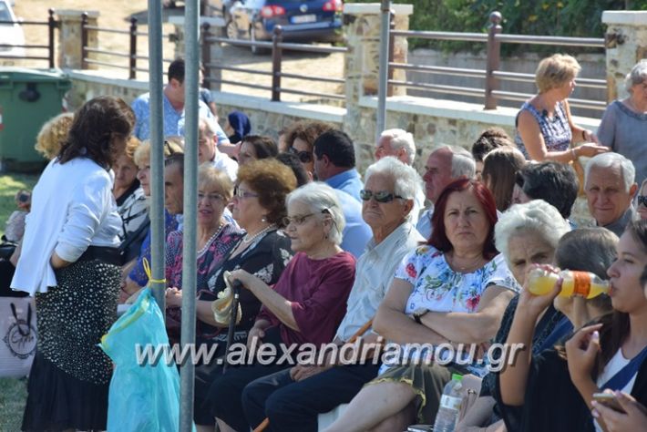 alexandriamou.gr_kastaniaantamoma17076