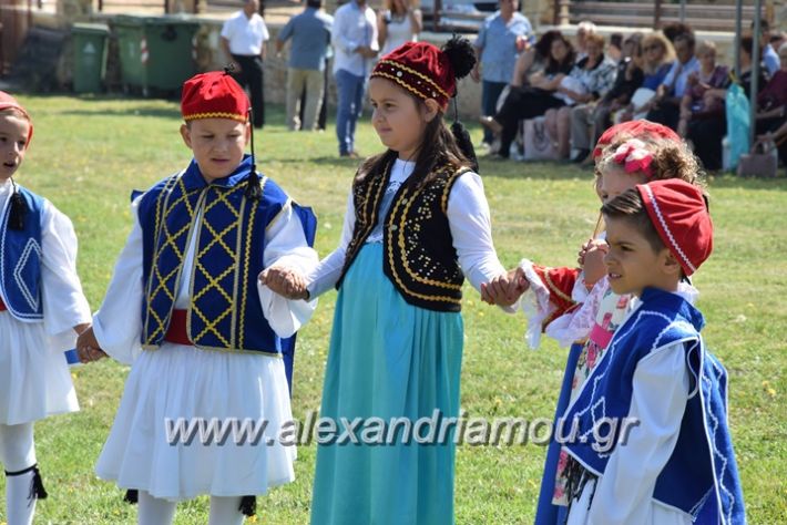 alexandriamou.gr_kastaniaantamoma17110