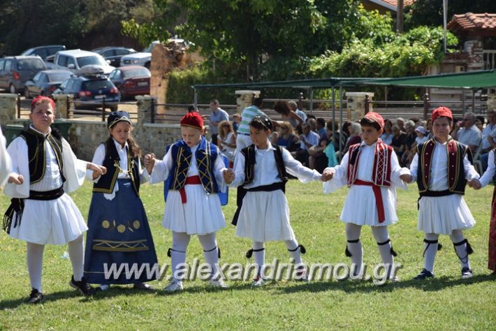 alexandriamou.gr_kastaniaantamoma17139