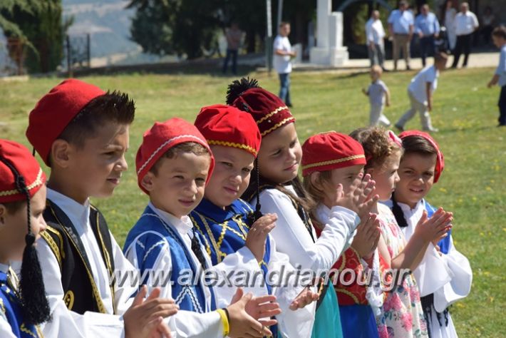 alexandriamou.gr_kastaniaantamoma17151