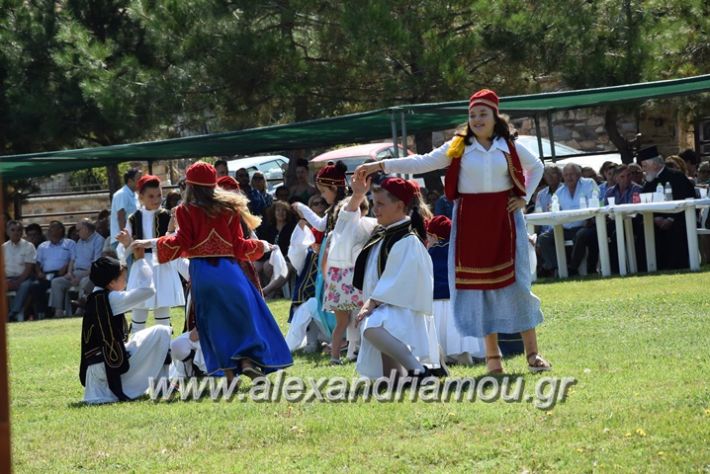 alexandriamou.gr_kastaniaantamoma17164