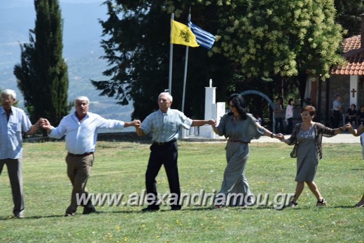 alexandriamou.gr_kastaniaantamoma17207