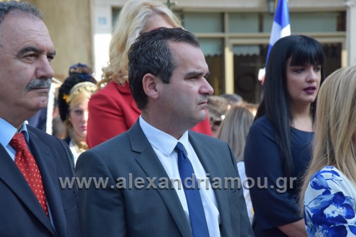 alexandriamou.gr_katathesi201888134