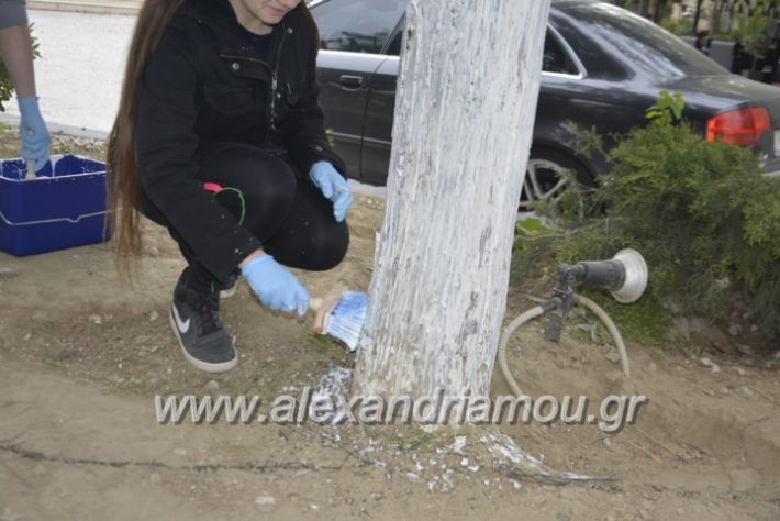 alexandriamou_kathariotita.5.19002