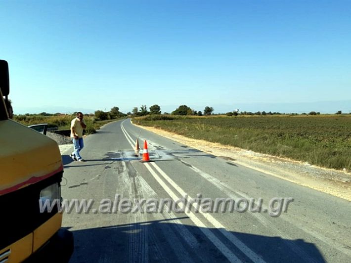 alexandriamou.gr_kathizisi70379101_425976851365270_5520200437665366016_n