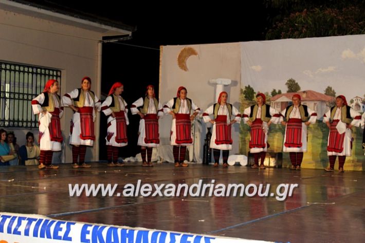 alexandriamou.gr_kipselideuterimera2019IMG_0408