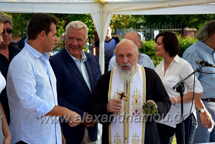 alexandriamou.gr_itoudisDSC_0399