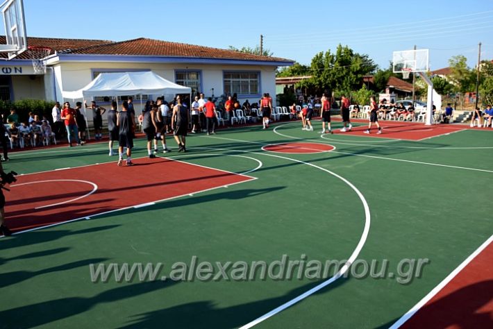 alexandriamou.gr_itoudisDSC_0470