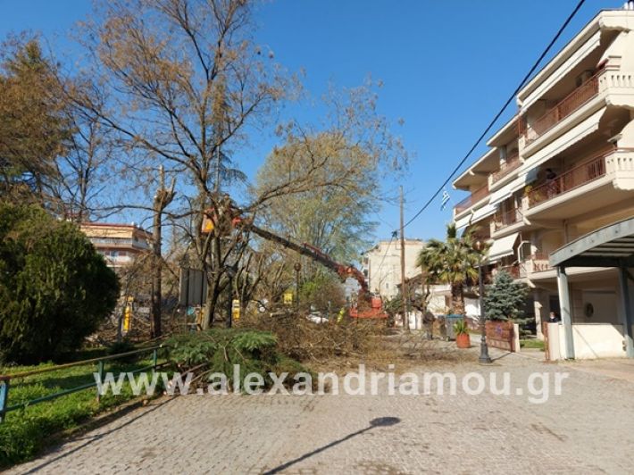 www.alexandriamou.gr_kladia123165407904_2516361365325271_1170384630461562545_n