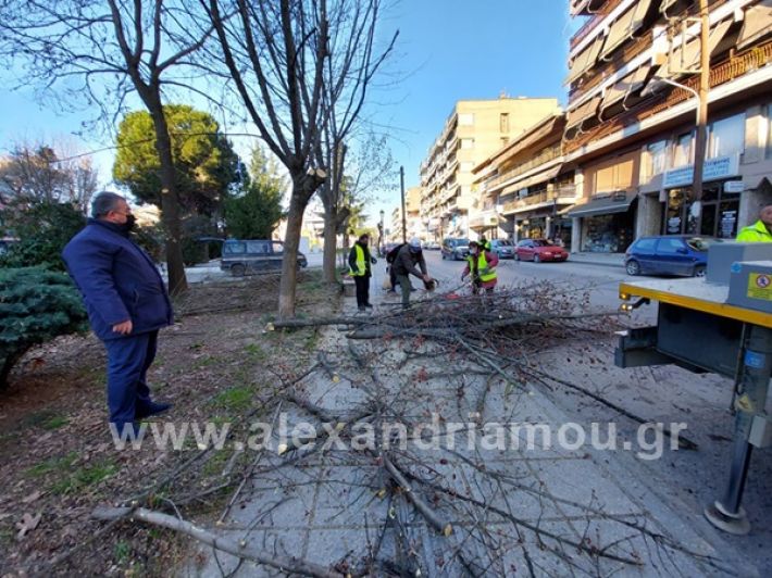 www.alexandriamou.gr_rapit_kladia0303156262459_464233154708670_6000024625273749673_n