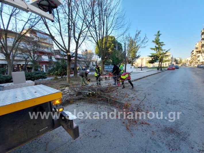 www.alexandriamou.gr_rapit_kladia0303156549328_2504039513225887_2678145799651750619_n