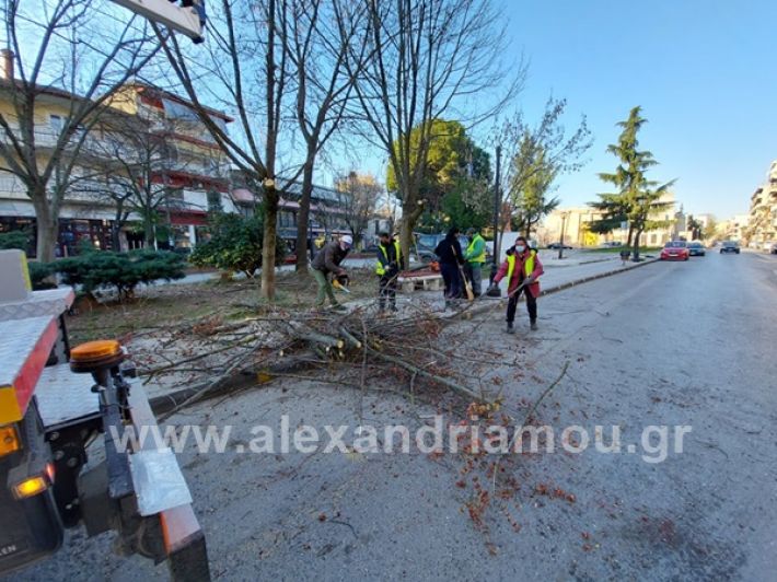 www.alexandriamou.gr_rapit_kladia0303156559155_1119621485150350_8319796572448101099_n