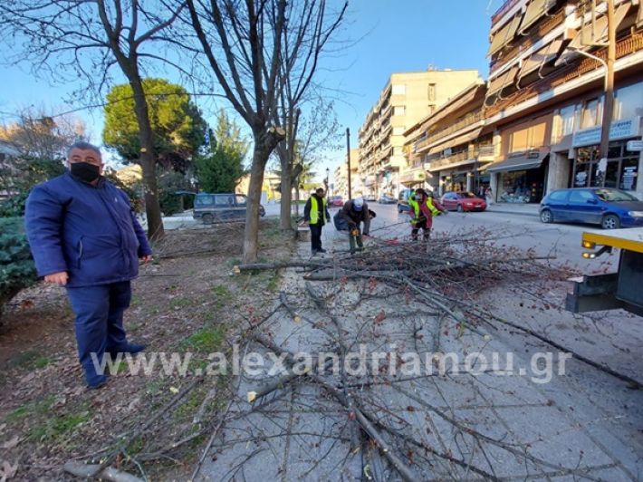 www.alexandriamou.gr_rapit_kladia0303157098002_267385404905598_5414921128691437658_n