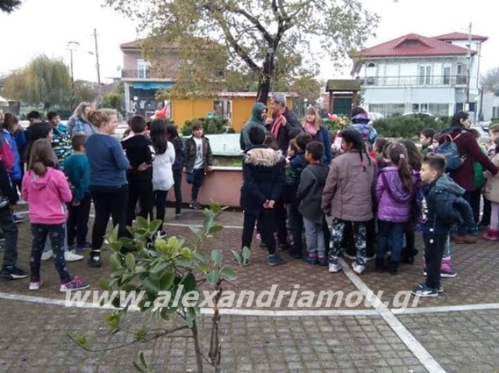 alexandriamou.gr_kleidisxoleiostolismos2019003