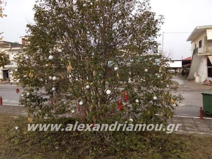 alexandriamou.gr_kleidisxoleiostolismos2019007