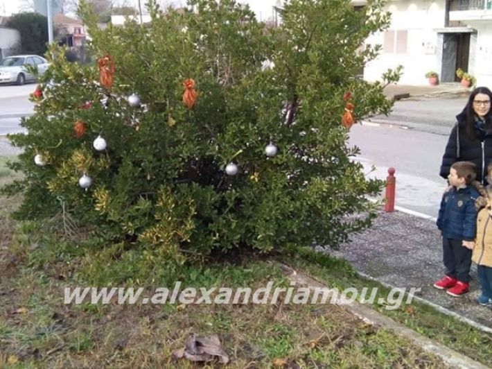 alexandriamou.gr_kleidisxoleiostolismos2019009