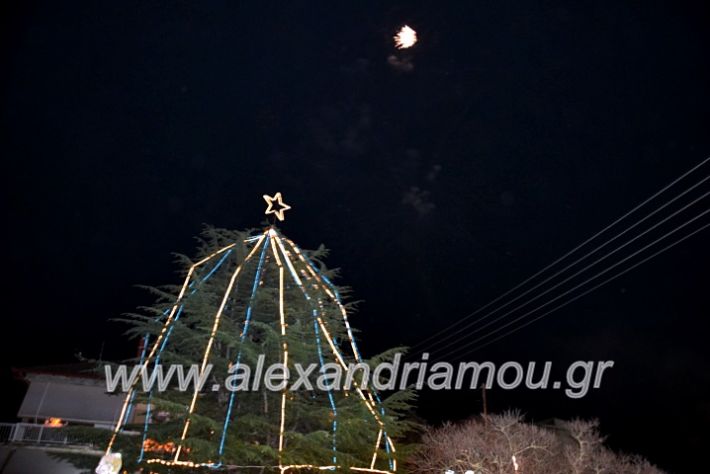 alexandriamou.gr_korifidentro19DSC_0879