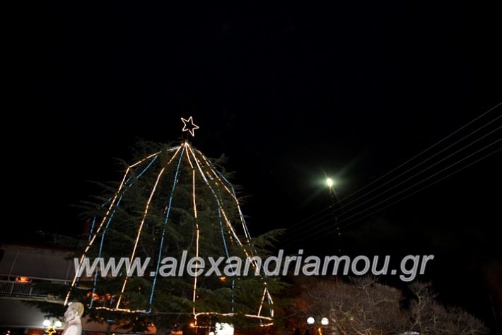 alexandriamou.gr_korifidentro19DSC_0880