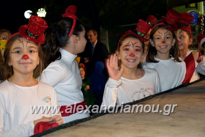 alexandriamou.gr_korifidentro19DSC_0884