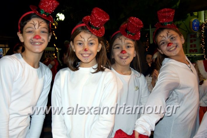 alexandriamou.gr_korifidentro19DSC_0899