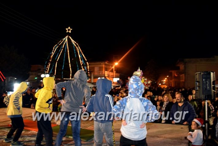 alexandriamou.gr_korifidentro19DSC_0929