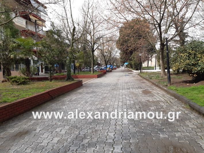 www.alexandriamou.gr_koronoios29.03.2020200329_111009