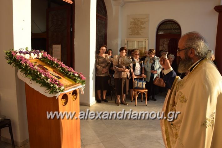 alexandriamou.gr_koukouzeli17015