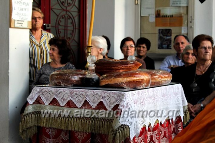 alexandriamou.gr_koukouzelis2019IMG_8871