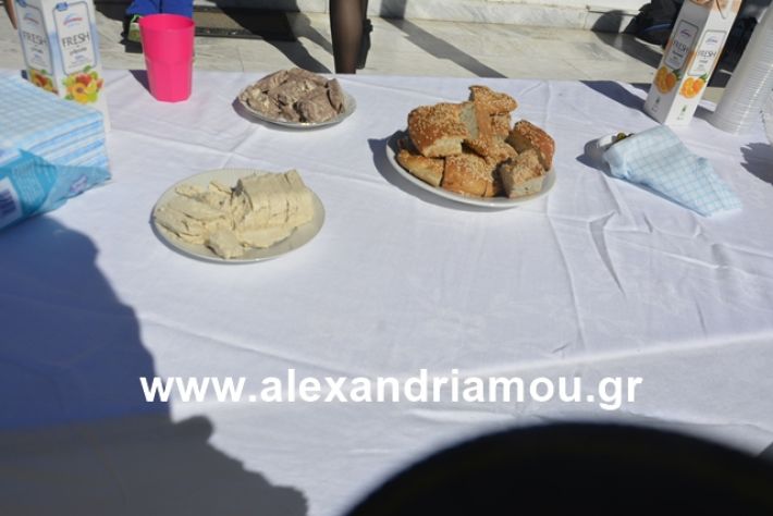 alexandriamou.gr_kouloumapanagia002