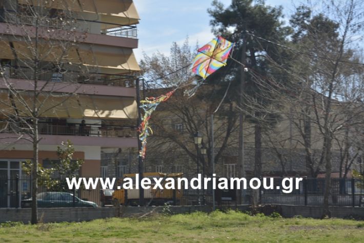 alexandriamou.gr_kouloumapanagia012