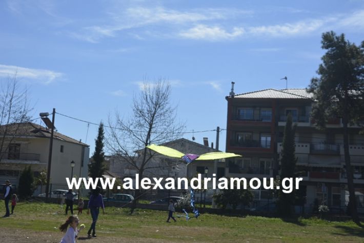 alexandriamou.gr_kouloumapanagia021