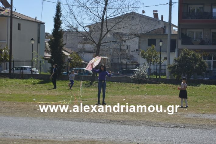 alexandriamou.gr_kouloumapanagia031