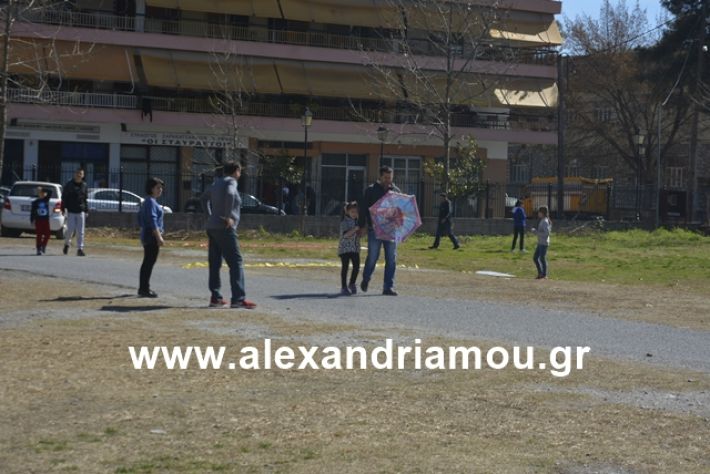 alexandriamou.gr_kouloumapanagia033