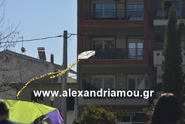 alexandriamou.gr_kouloumapanagia037