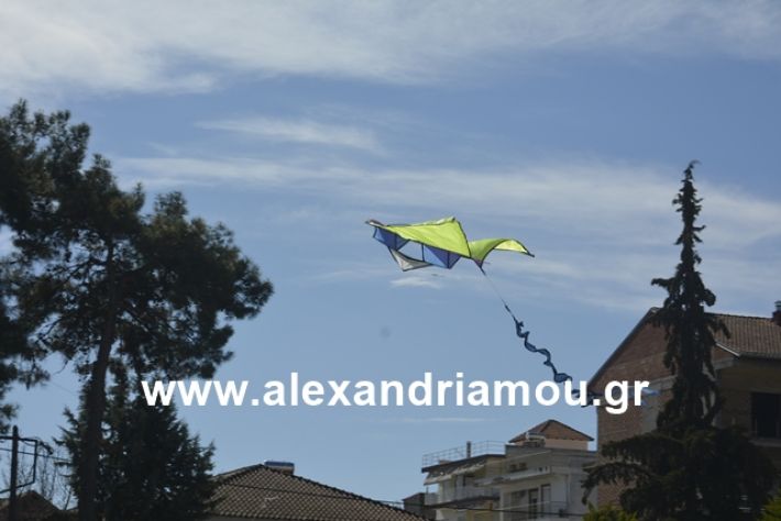 alexandriamou.gr_kouloumapanagia040