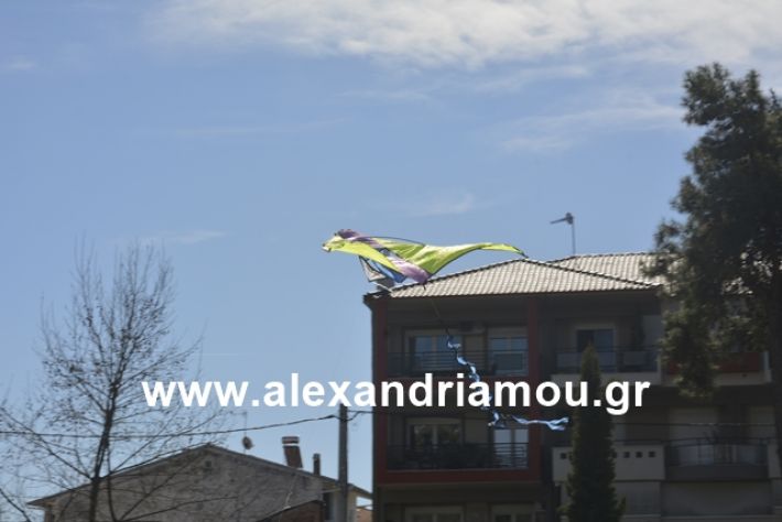 alexandriamou.gr_kouloumapanagia041