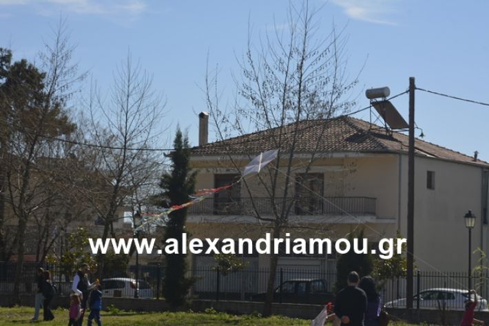 alexandriamou.gr_kouloumapanagia044