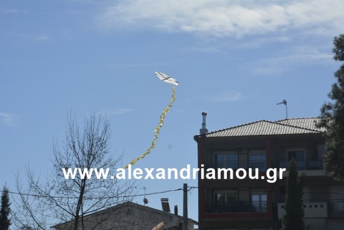 alexandriamou.gr_kouloumapanagia047