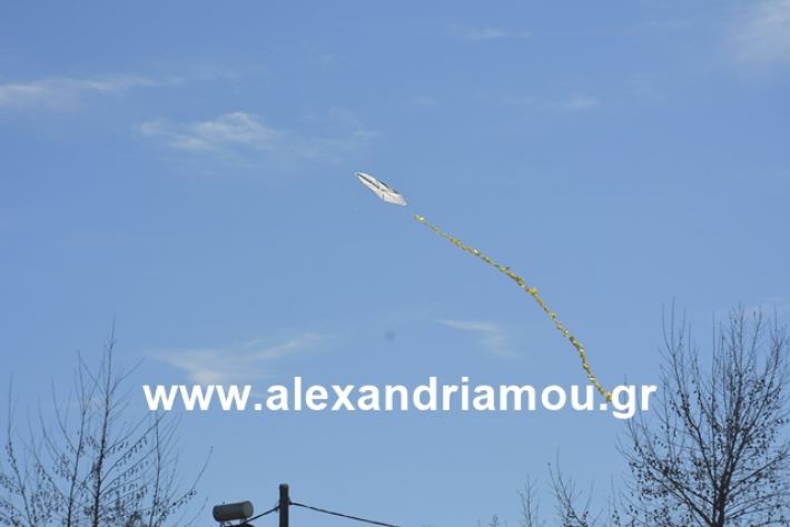 alexandriamou.gr_kouloumapanagia048