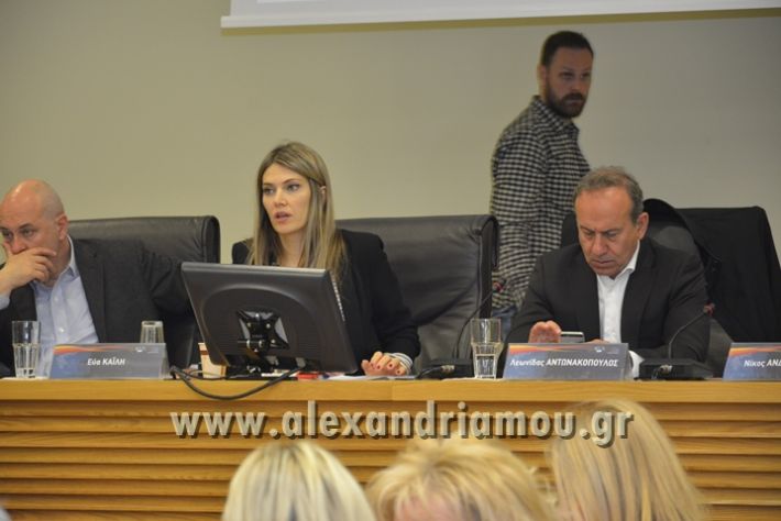 alexandriamou_kozani_dhmosiografiko_synedrio34