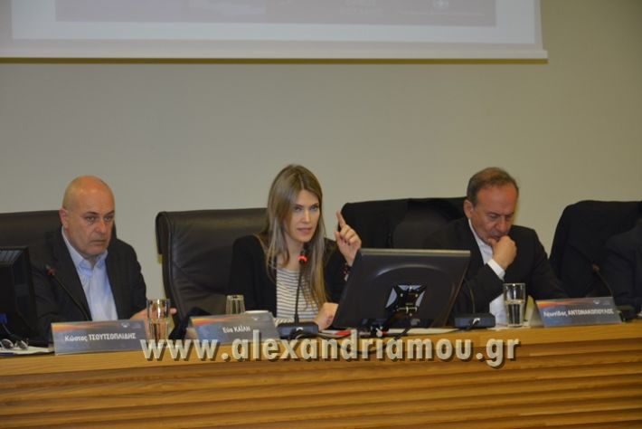alexandriamou_kozani_dhmosiografiko_synedrio6